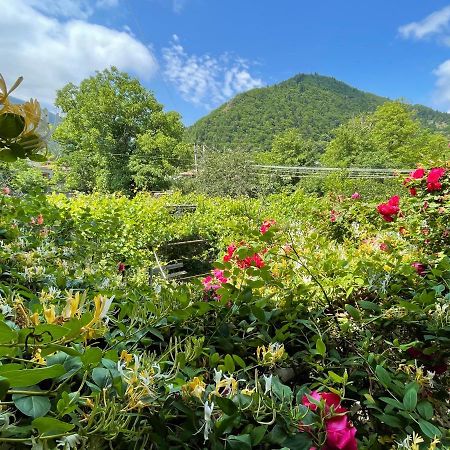 Koticha Villa Borjomi ภายนอก รูปภาพ