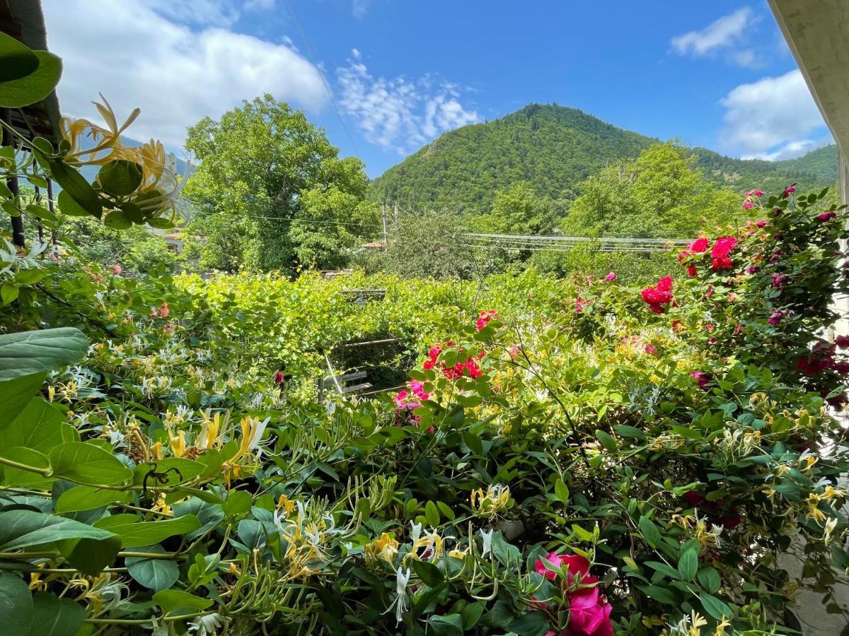 Koticha Villa Borjomi ภายนอก รูปภาพ