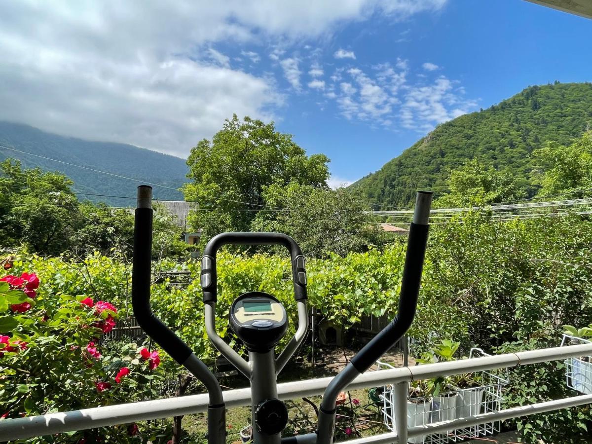 Koticha Villa Borjomi ภายนอก รูปภาพ